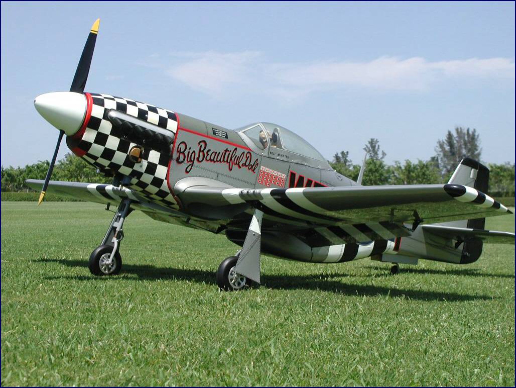 p51_6.jpg