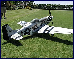 p51_3.jpg